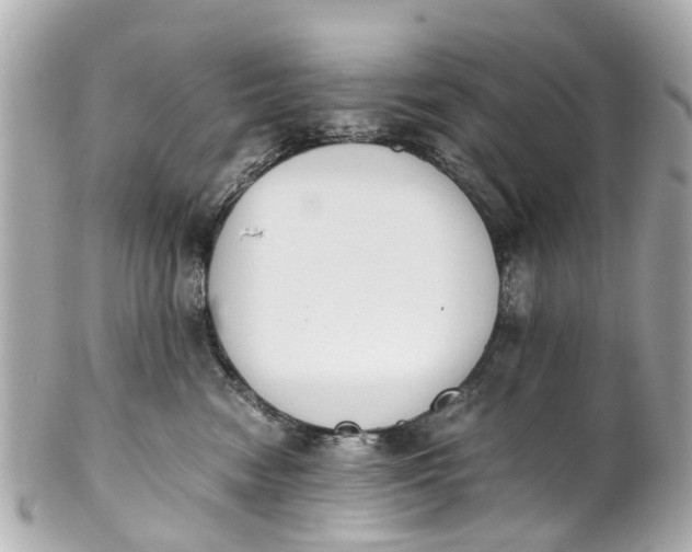 X0000101680474200807311523