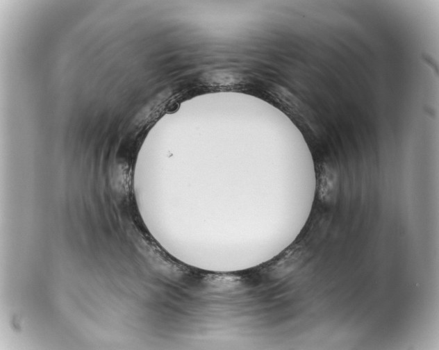 X0000101680476200807311523