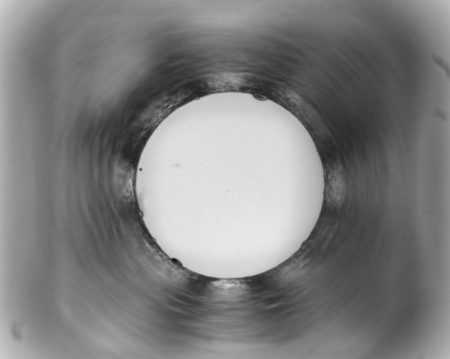 X0000101680477200807311523