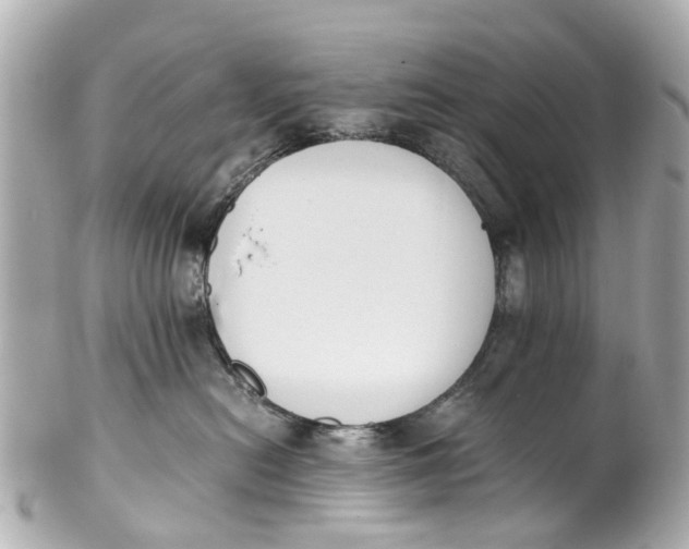 X0000101680478200807311523