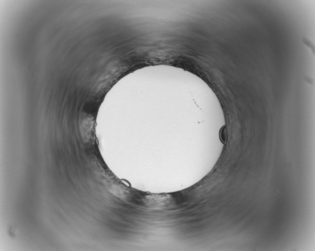 X0000101680480200807311523