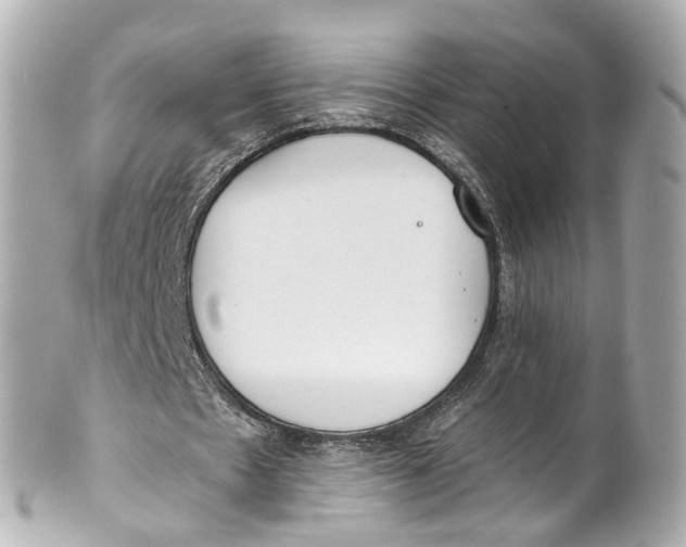 X0000101680481200807311522