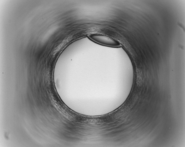 X0000101680482200807311522