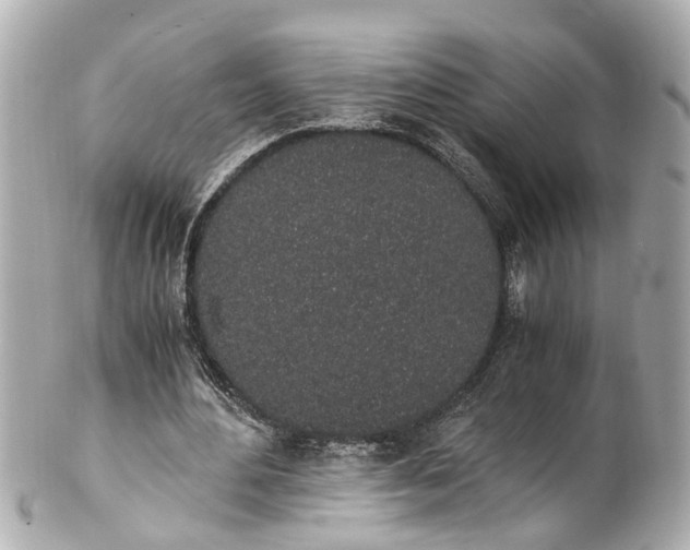 X0000101680484200807311522