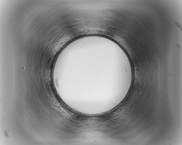 X0000101680485200807311522