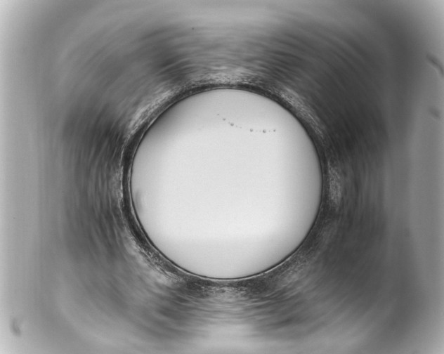 X0000101680486200807311522