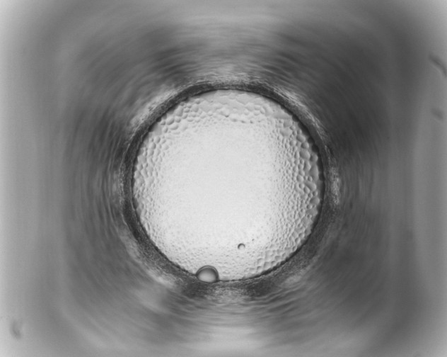 X0000101680487200807311522