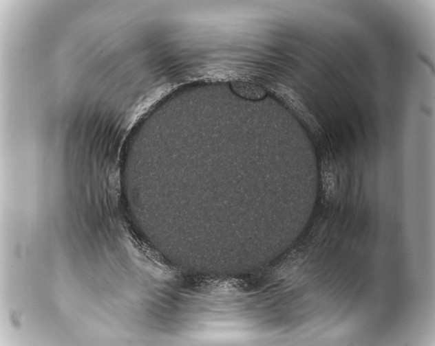 X0000101680488200807311522