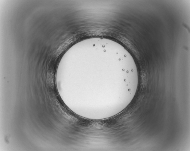 X0000101680489200807311522