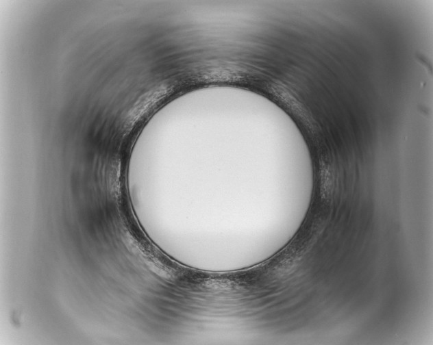 X0000101680490200807311522