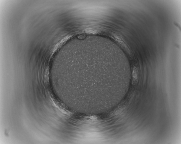 X0000101680492200807311522