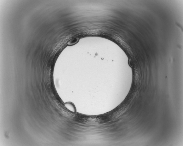 X0000101680493200807311522