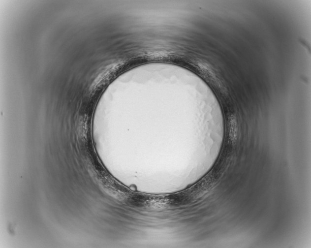 X0000101680495200807311522