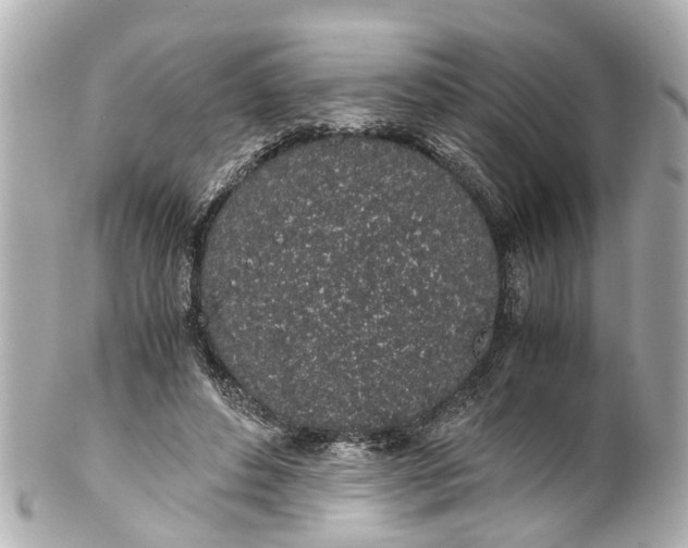 X0000101680496200807311522