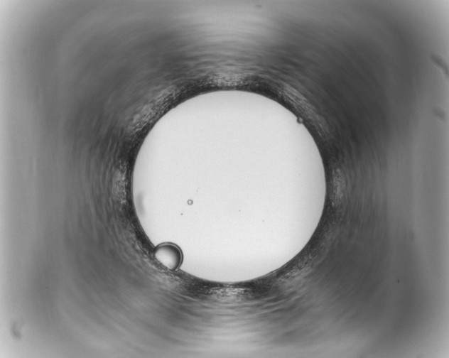 X0000101680497200807311522