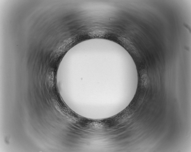 X0000101680498200807311522