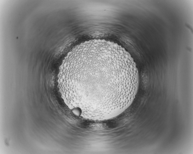 X0000101680499200807311522