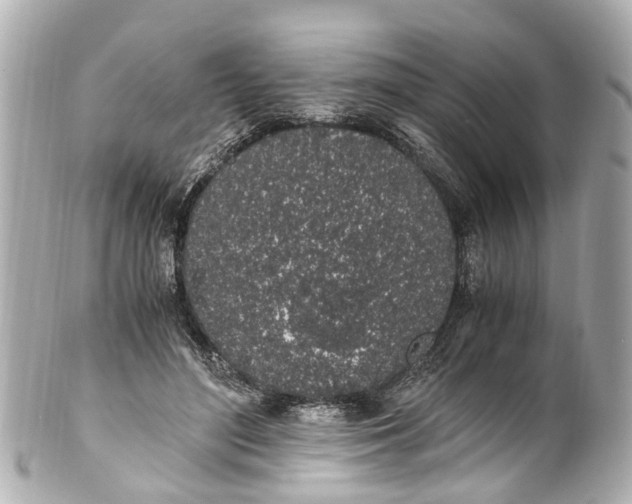 X0000101680500200807311522