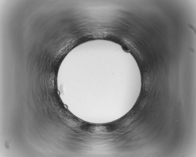 X0000101680501200807311522