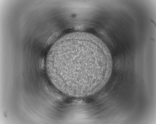 X0000101680502200807311522