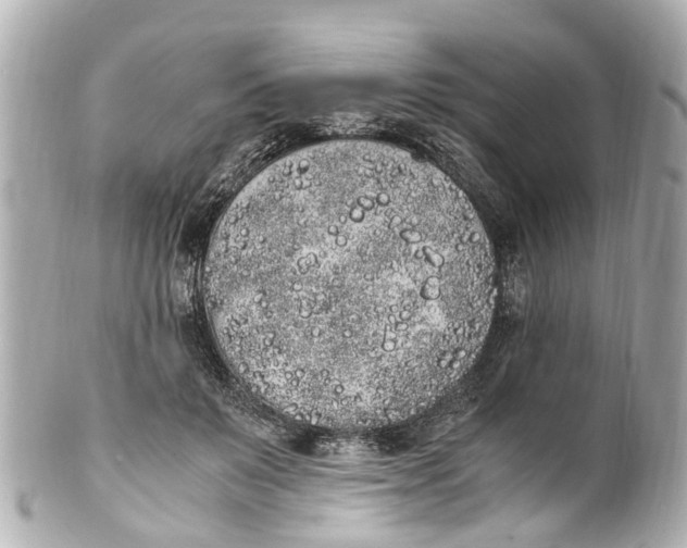 X0000101680503200807311522