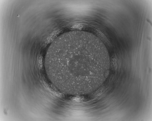 X0000101680504200807311522