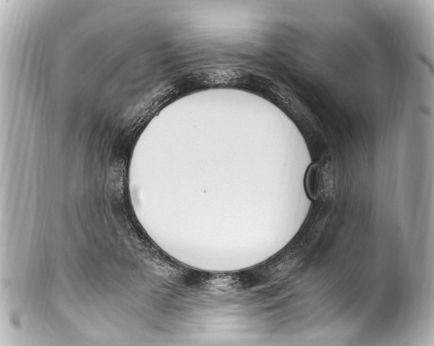 X0000101680505200807311522