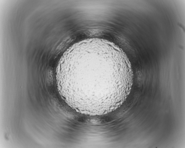 X0000101680506200807311522