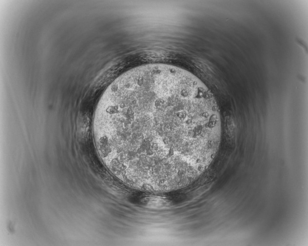 X0000101680507200807311522