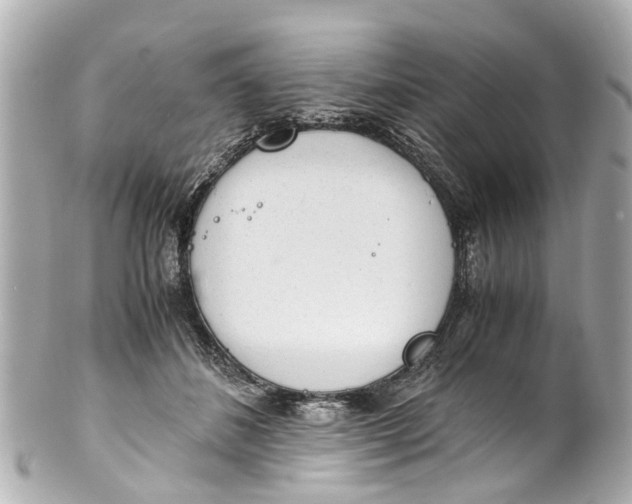 X0000101680508200807311522