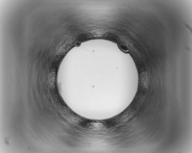 X0000101680509200807311522