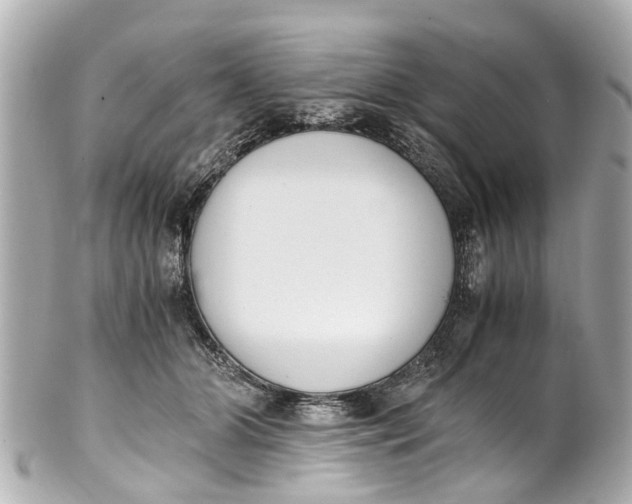 X0000101680510200807311522