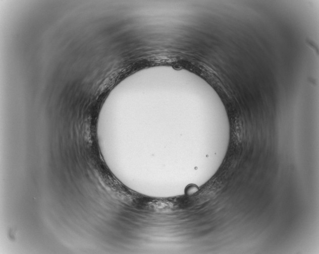 X0000101680512200807311522