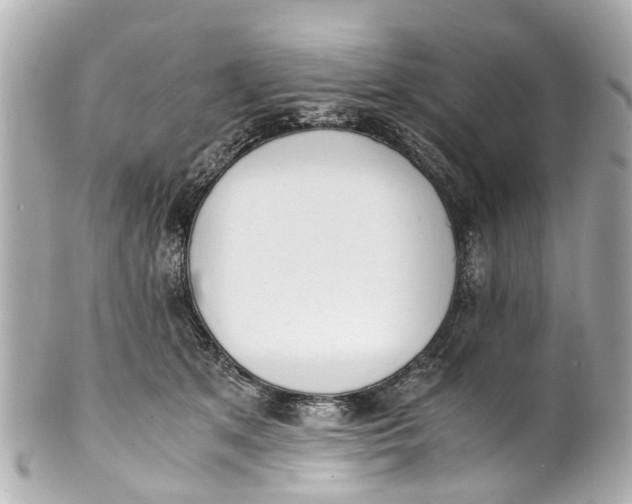 X0000101680513200807311522