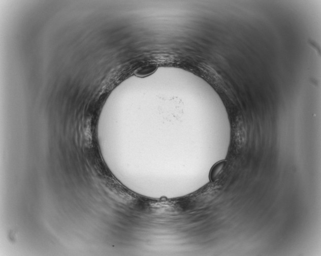 X0000101680516200807311522