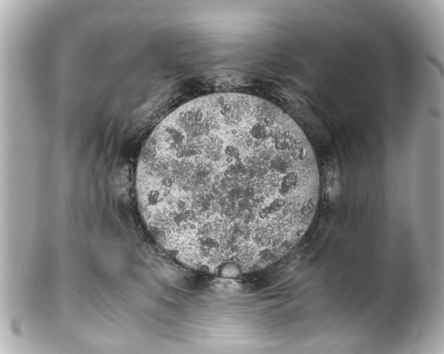 X0000101680519200807311522