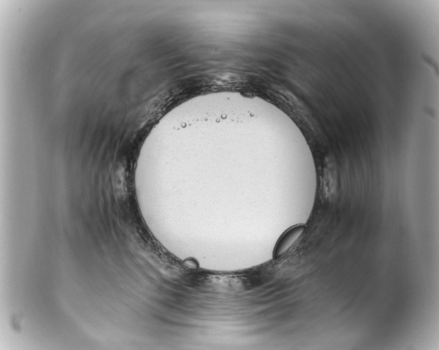 X0000101680520200807311522