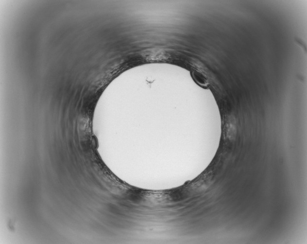 X0000101680521200807311522