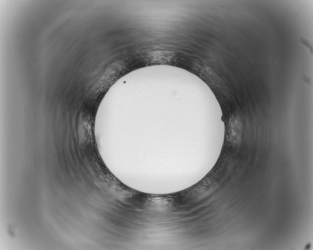 X0000101680522200807311522