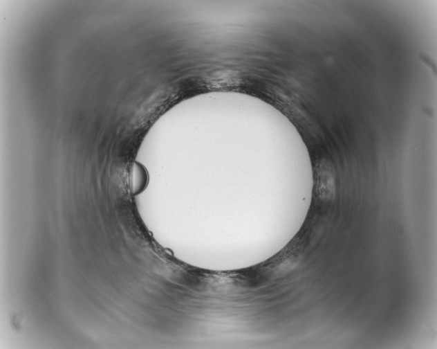 X0000101680523200807311522