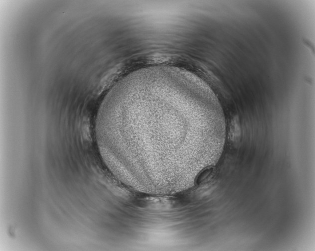 X0000101680524200807311522