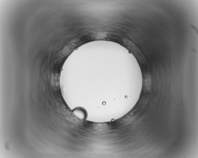 X0000101680525200807311522