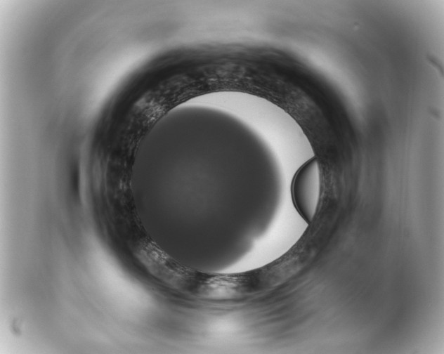 X0000101680526200807311522