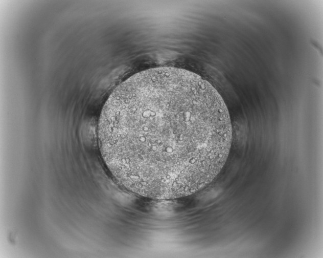 X0000101680527200807311522