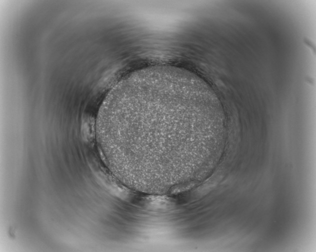 X0000101680528200807311522