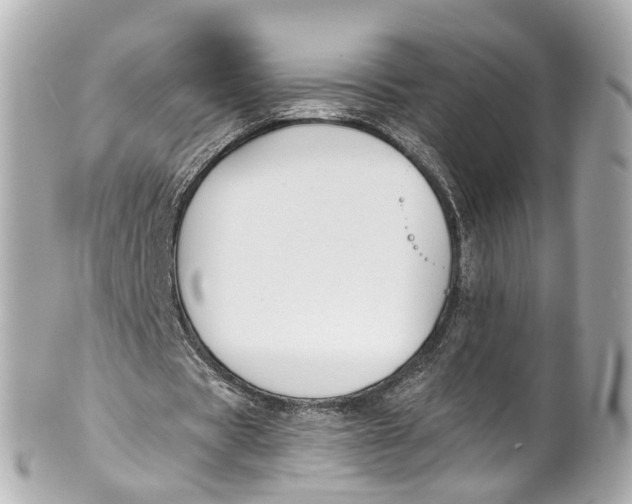 X0000101680529200807311521