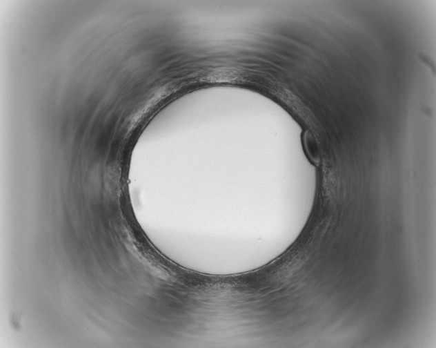 X0000101680530200807311521