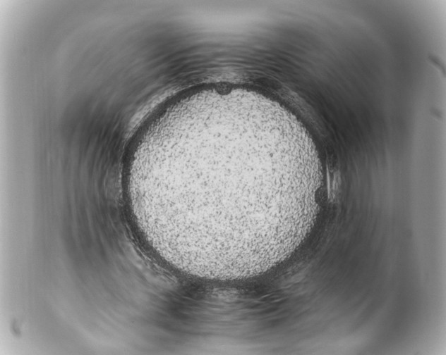 X0000101680531200807311521