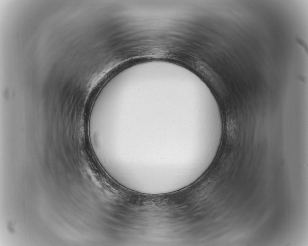 X0000101680532200807311521