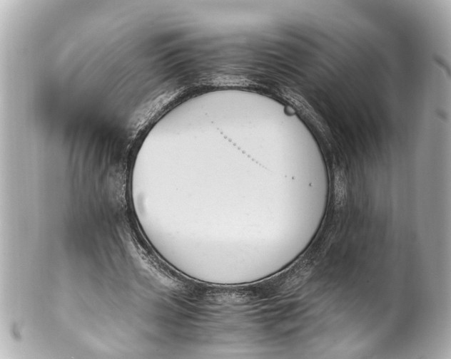 X0000101680533200807311521